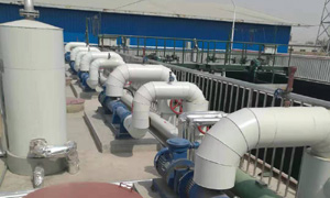 單螺桿泵輸污水現場